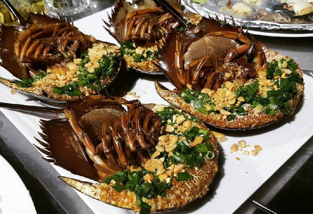 Sam biển là một món ăn vô cùng đắt đỏ và nổi tiếng tại Hạ Long vì độ ngon của món ăn này